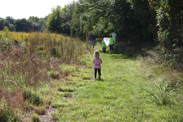 butterfly tagging