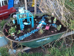 how to grow a fairy garden