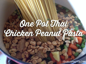 one pot thai chicken peanut pasta ItsaWahmLife.com