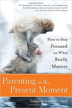 Parenting in the Present Moment, an ItsaWahmLife.com book recommendation for "intention". 