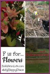 f is for flowers ItsaWahmLife.com #myhappyplace #a-zchallenge