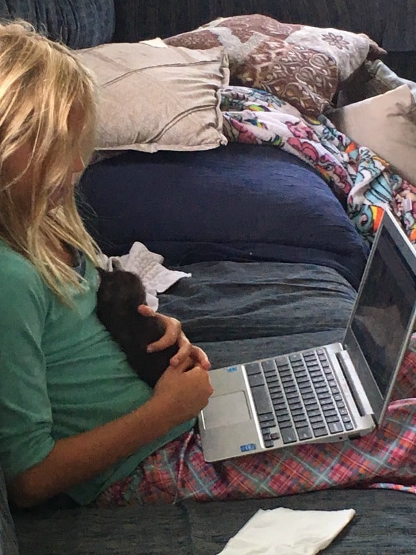 hanna and the kitten