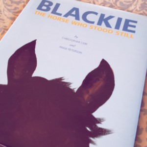 Blackie The Horse Who Stood Still {Book Review} ItsaWahmLife.com